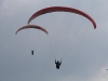 LN2011